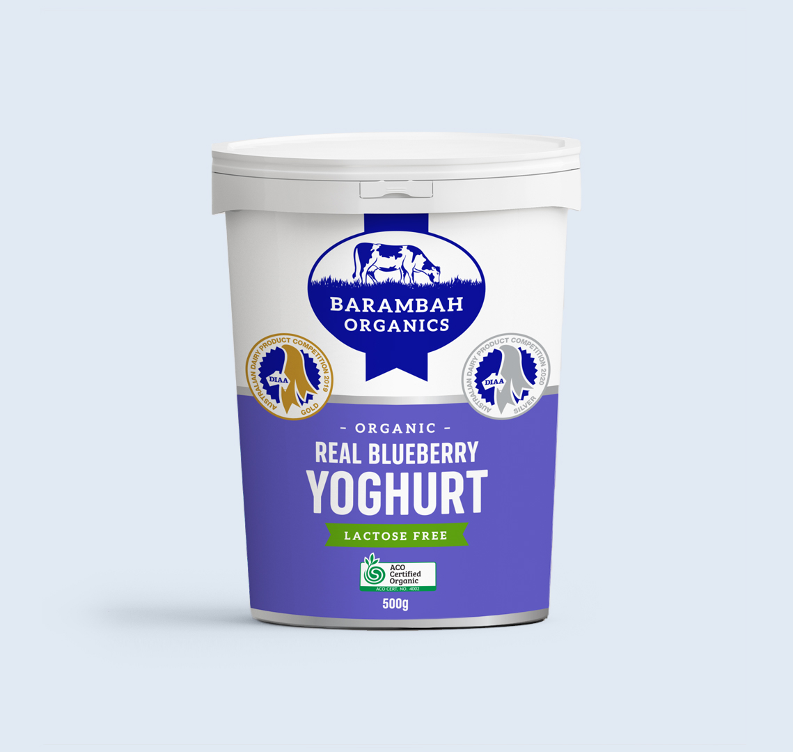 500g of Real Blueberry Yoghurt - Organic Natural Yoghurt - Barambah Organics