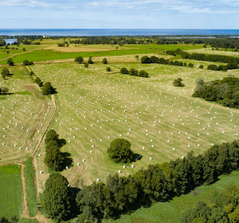 Greenfield Farm - Sustainable Farming - Barambah Organics