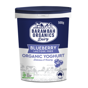 500g of Real Blueberry Yoghurt - Healthy Yoghurt - Barambah Organics