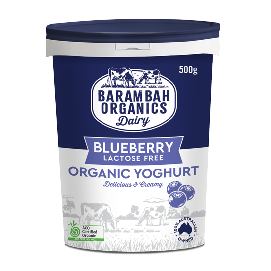 500g of Real Blueberry Yoghurt - Healthy Yoghurt - Barambah Organics