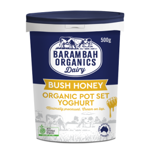 500g of Bush Honey Yoghurt - Healthy Yoghurt Australia - Barambah Organics