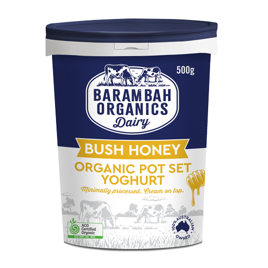 500g of Bush Honey Yoghurt - Healthy Yoghurt Australia - Barambah Organics