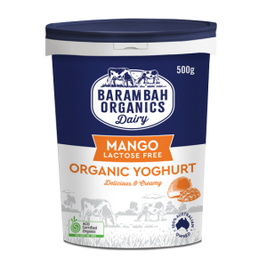 500g of Real Mango Yoghurt - organic natural yoghurt - Barambah Organics