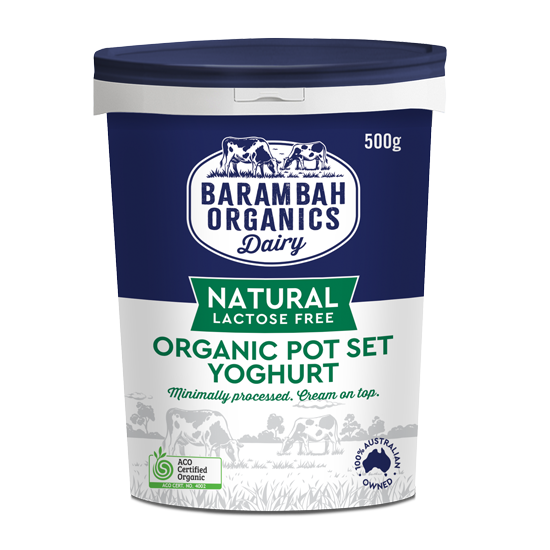 500g of Natural Lactose Free Yoghurt - Barambah Lactose Free Yoghurt - Barambah Organics