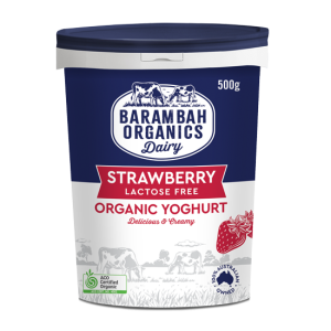 500g of Real Strawberry Yoghurt - Organic Natural Yoghurt - Barambah Organics